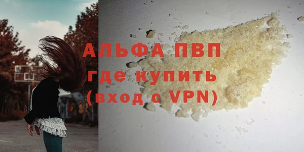 мяу мяу мука Корсаков