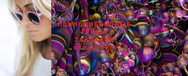 спайс Козловка