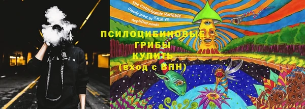 спайс Козловка